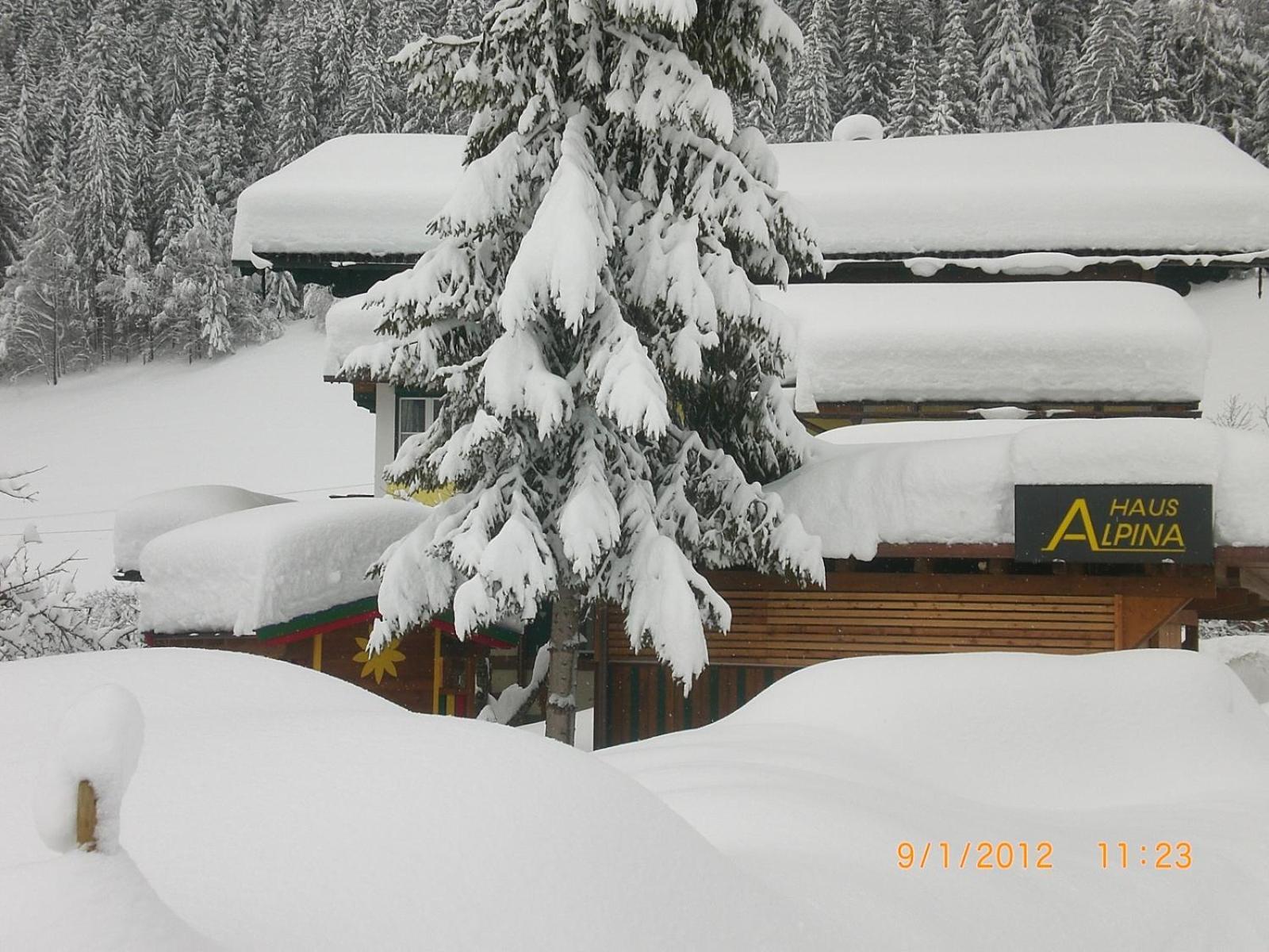 Bed and Breakfast Haus Alpina Верфенвенг Экстерьер фото